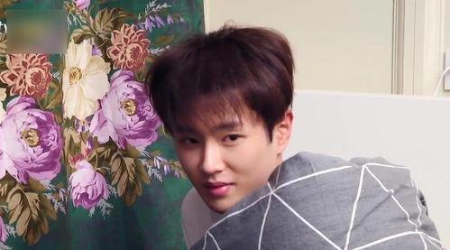 娱乐吃瓜蜀黍范丞丞,娱乐吃瓜界的“蜀黍”,揭秘娱乐圈幕后故事